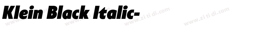 Klein Black Italic字体转换 Klein Black Italic字体转换